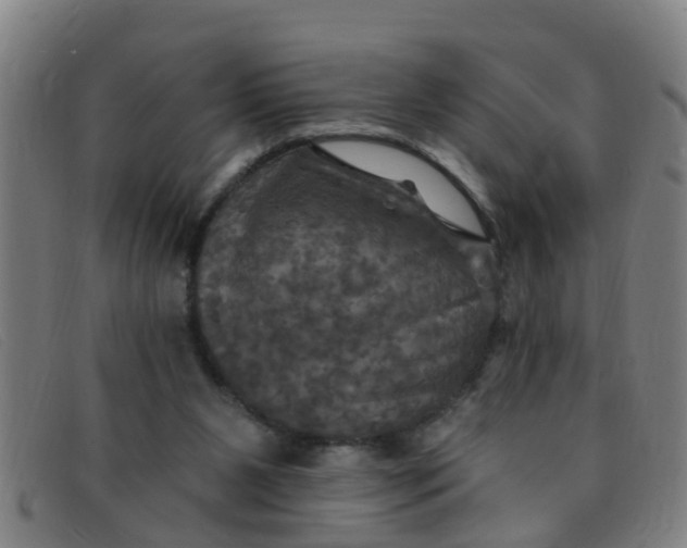 X0000091350111200708311524