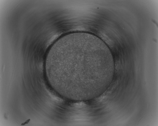 X0000091350112200708311524