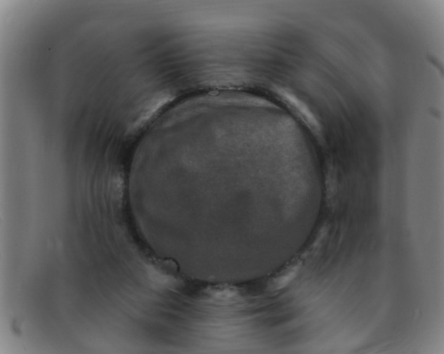 X0000091350113200708311524