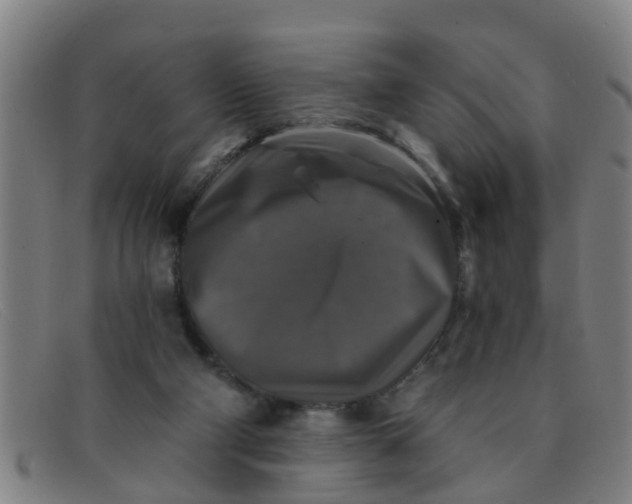 X0000091350114200708311524