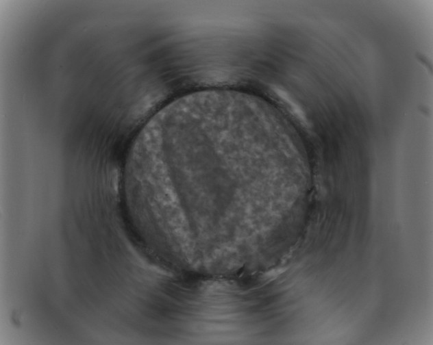 X0000091350115200708311524