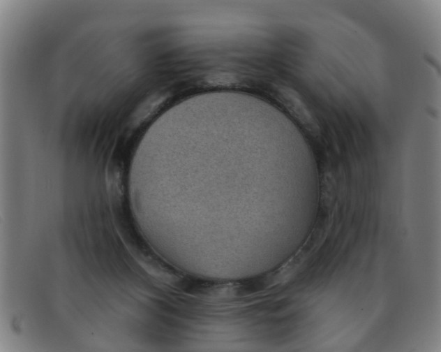 X0000091350116200708311524
