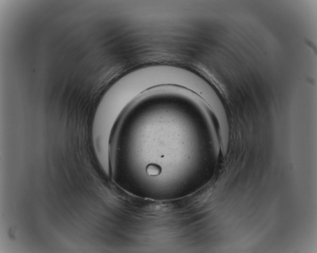 X0000091350117200708311524
