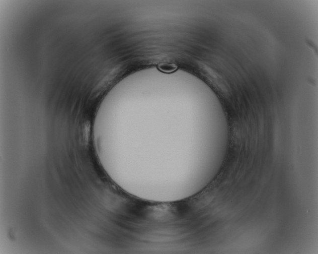 X0000091350118200708311524