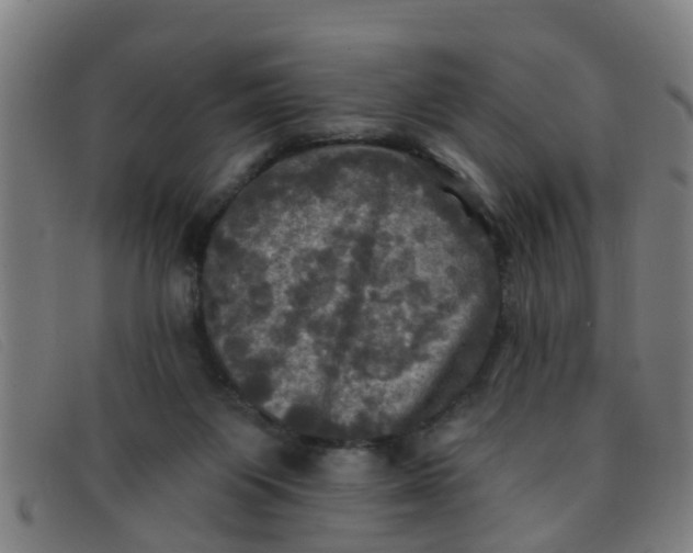 X0000091350119200708311524