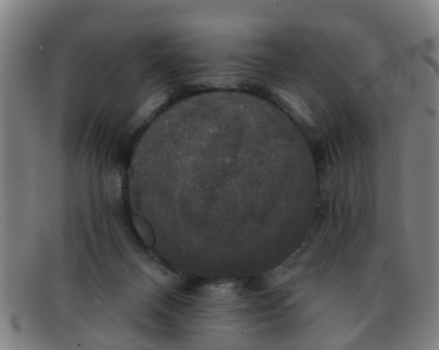 X0000091350120200708311524
