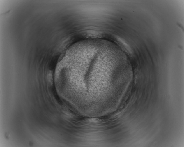 X0000091350121200708311524
