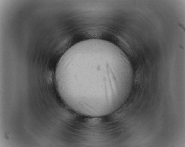 X0000091350122200708311524