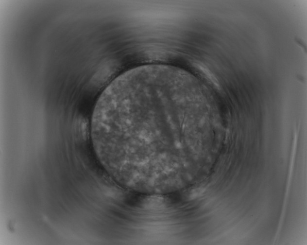 X0000091350123200708311524