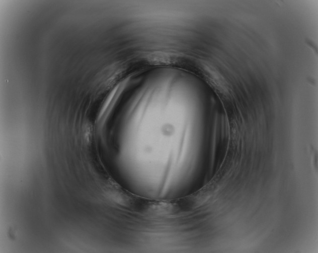 X0000091350125200708311524
