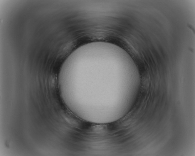 X0000091350126200708311524