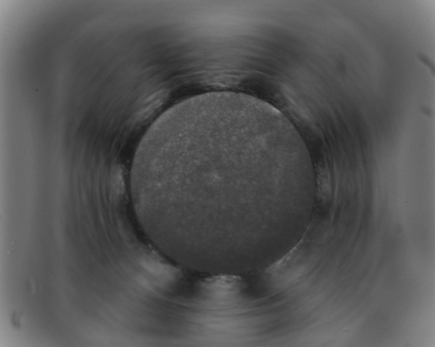 X0000091350128200708311524