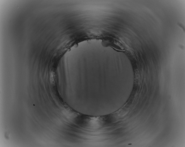 X0000091350130200708311524