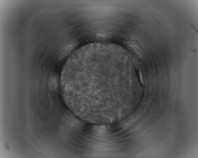 X0000091350131200708311524