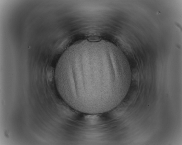 X0000091350133200708311524