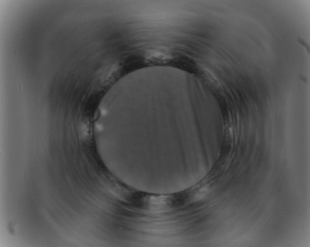 X0000091350134200708311524