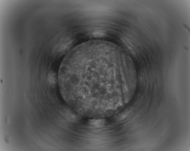 X0000091350135200708311524
