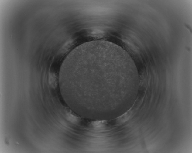 X0000091350136200708311524
