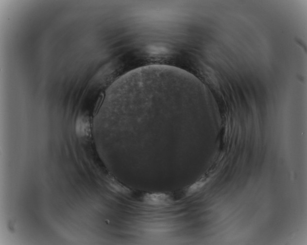 X0000091350137200708311524