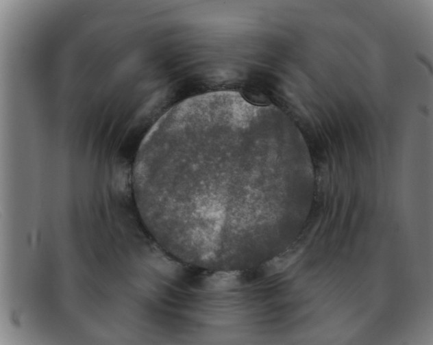 X0000091350138200708311524