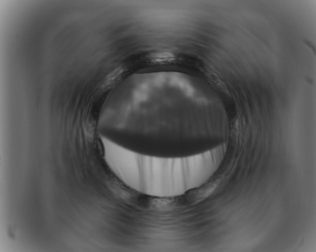 X0000091350139200708311524