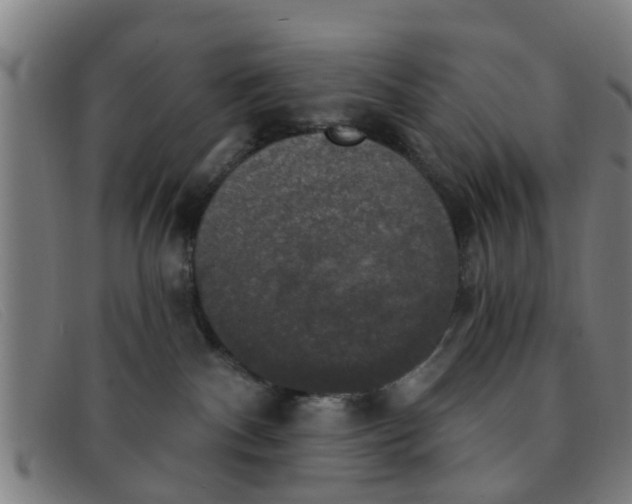 X0000091350140200708311524