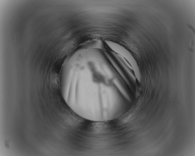 X0000091350141200708311524