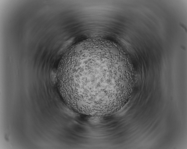 X0000091350142200708311524