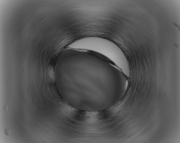 X0000091350143200708311524