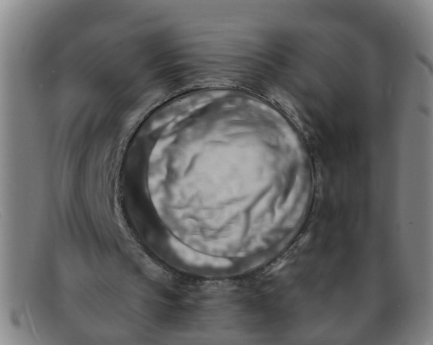 X0000091350145200708311523