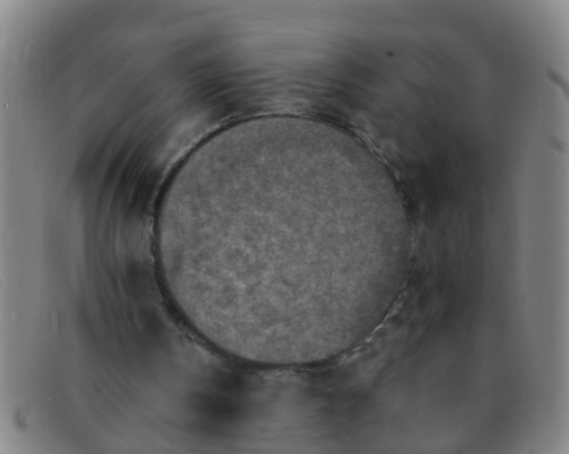 X0000091350146200708311523