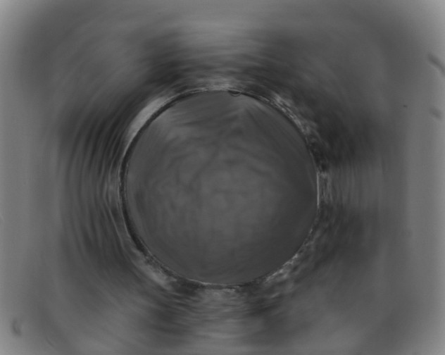X0000091350147200708311523