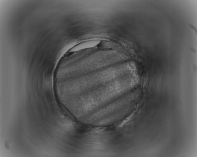 X0000091350148200708311523
