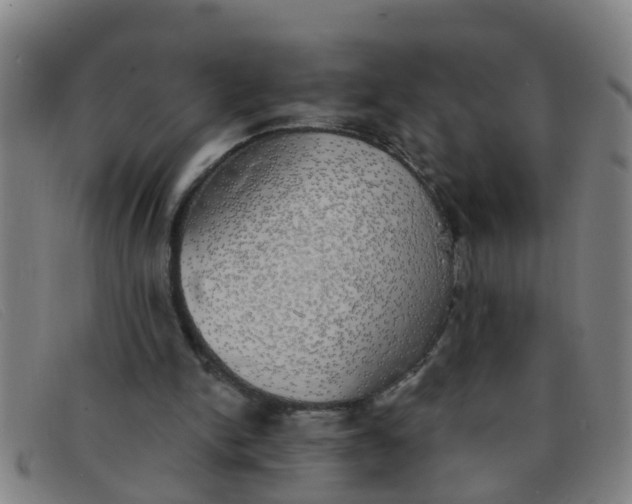X0000091350150200708311523