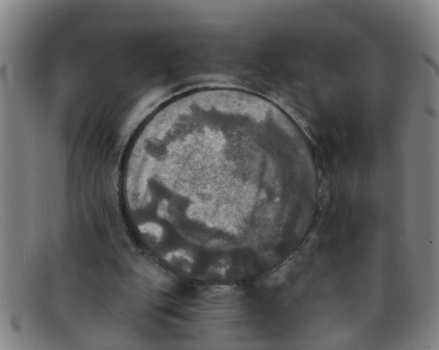 X0000091350151200708311523