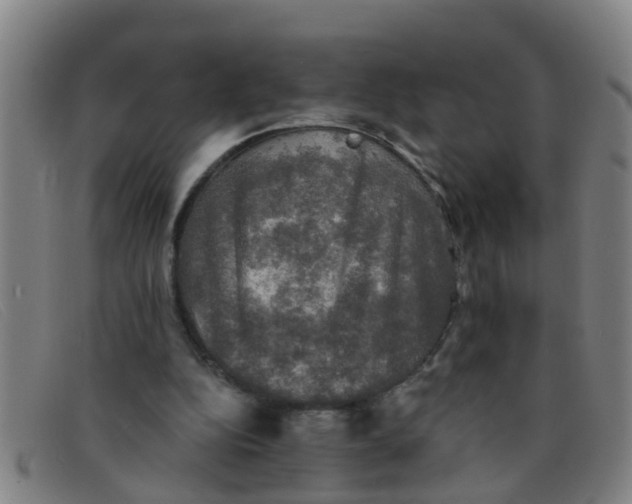 X0000091350152200708311523