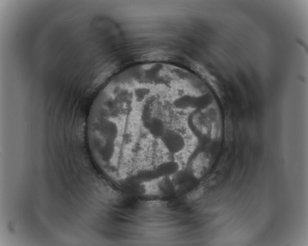 X0000091350153200708311523