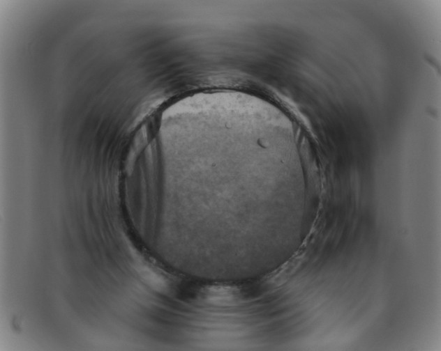 X0000091350154200708311523