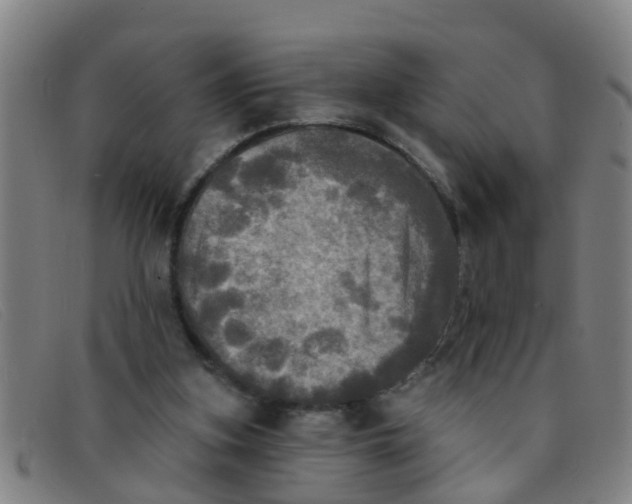 X0000091350155200708311523
