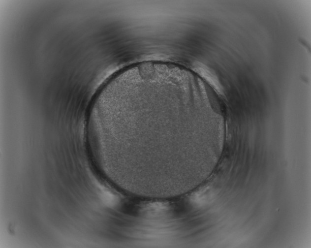 X0000091350156200708311523