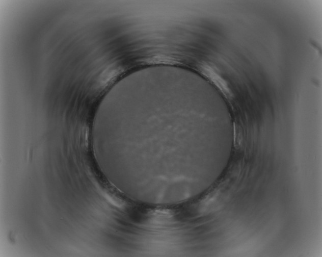 X0000091350157200708311523
