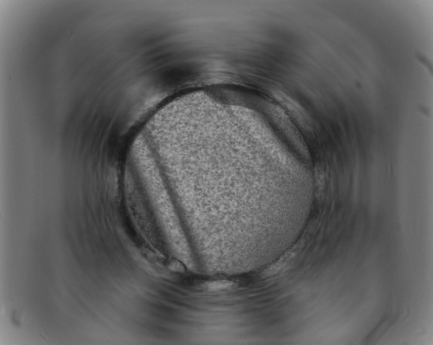 X0000091350158200708311523