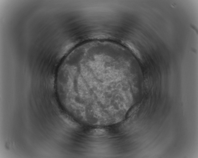 X0000091350159200708311523