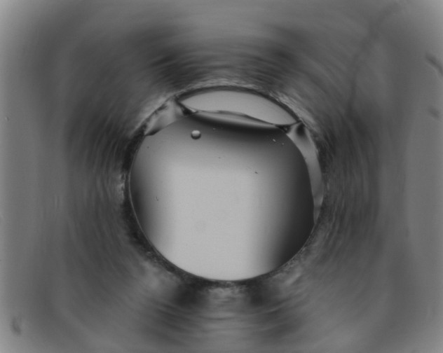 X0000091350160200708311523