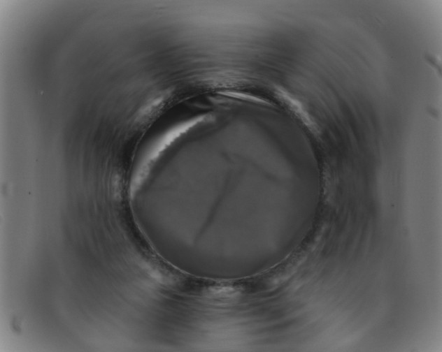 X0000091350161200708311523