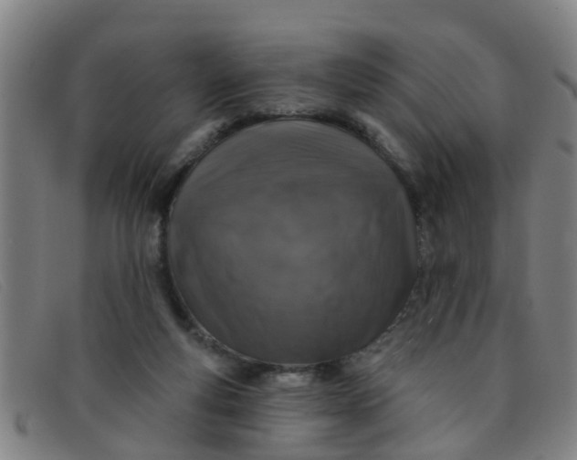 X0000091350163200708311523