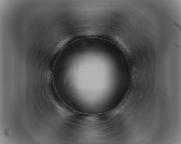 X0000091350164200708311523