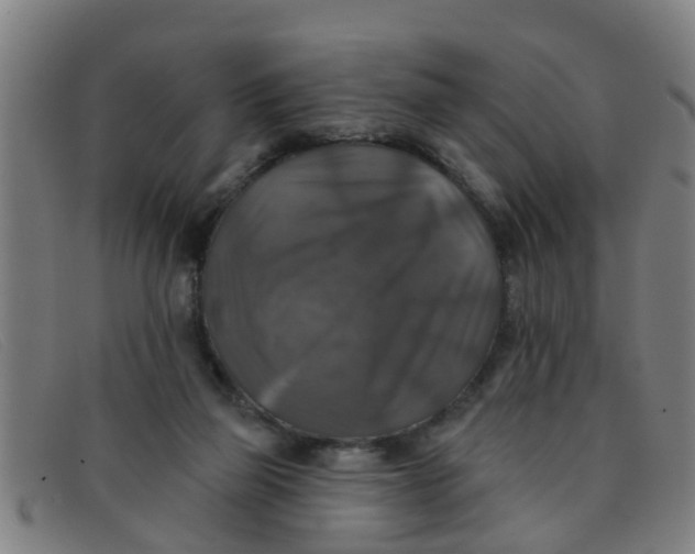 X0000091350165200708311523