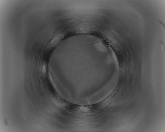 X0000091350166200708311523