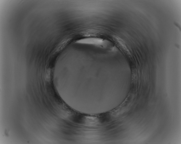X0000091350167200708311523